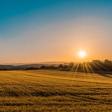 Photo of the sun rising over a field of young grain. Photo by Federico Respini on Unsplash. Source: https://unsplash.com/photos/sYffw0LNr7s